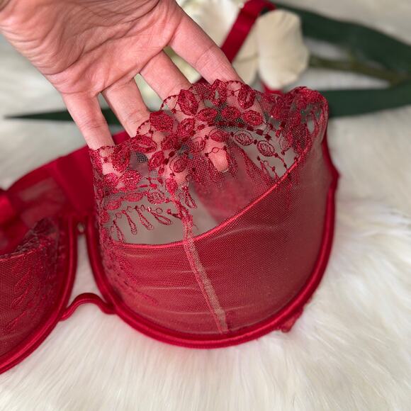 Honey Birdette 36H Red Embroidered Mesh Balcony Bra Cage Detail Missing Chain - Picture 4 of 16